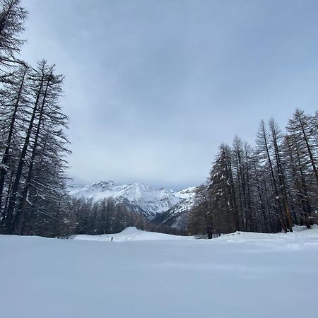 Les Granges D'Arvieux - Queyras - Appart 3Ch./6P. ภายนอก รูปภาพ